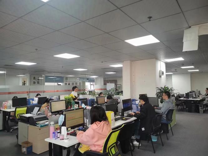 深圳市金黑网络科技