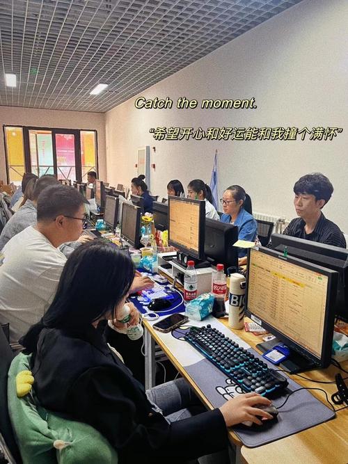 黑龙江才卓网络技术服务 连接数字未来的专业力量
